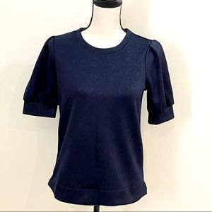 NWT Ann Taylor Shimmer Top